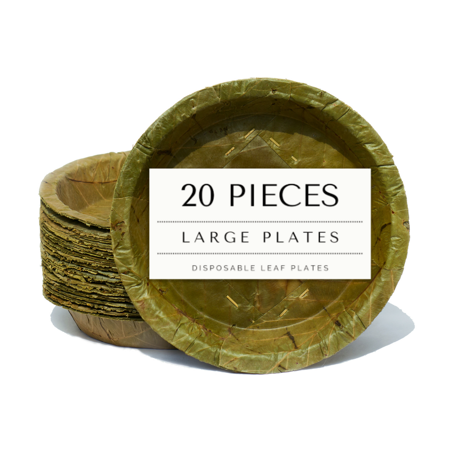 Large Sal Leaf Plates - 23cm / 9 inch diameter