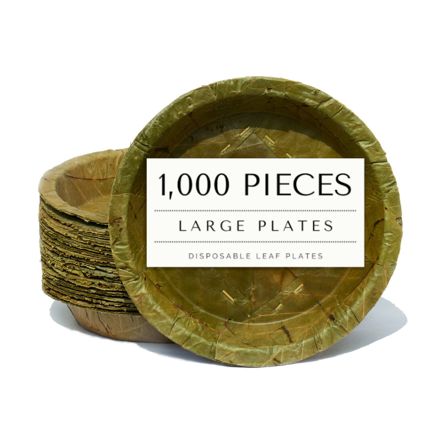 Large Sal Leaf Plates - 23cm / 9 inch diameter