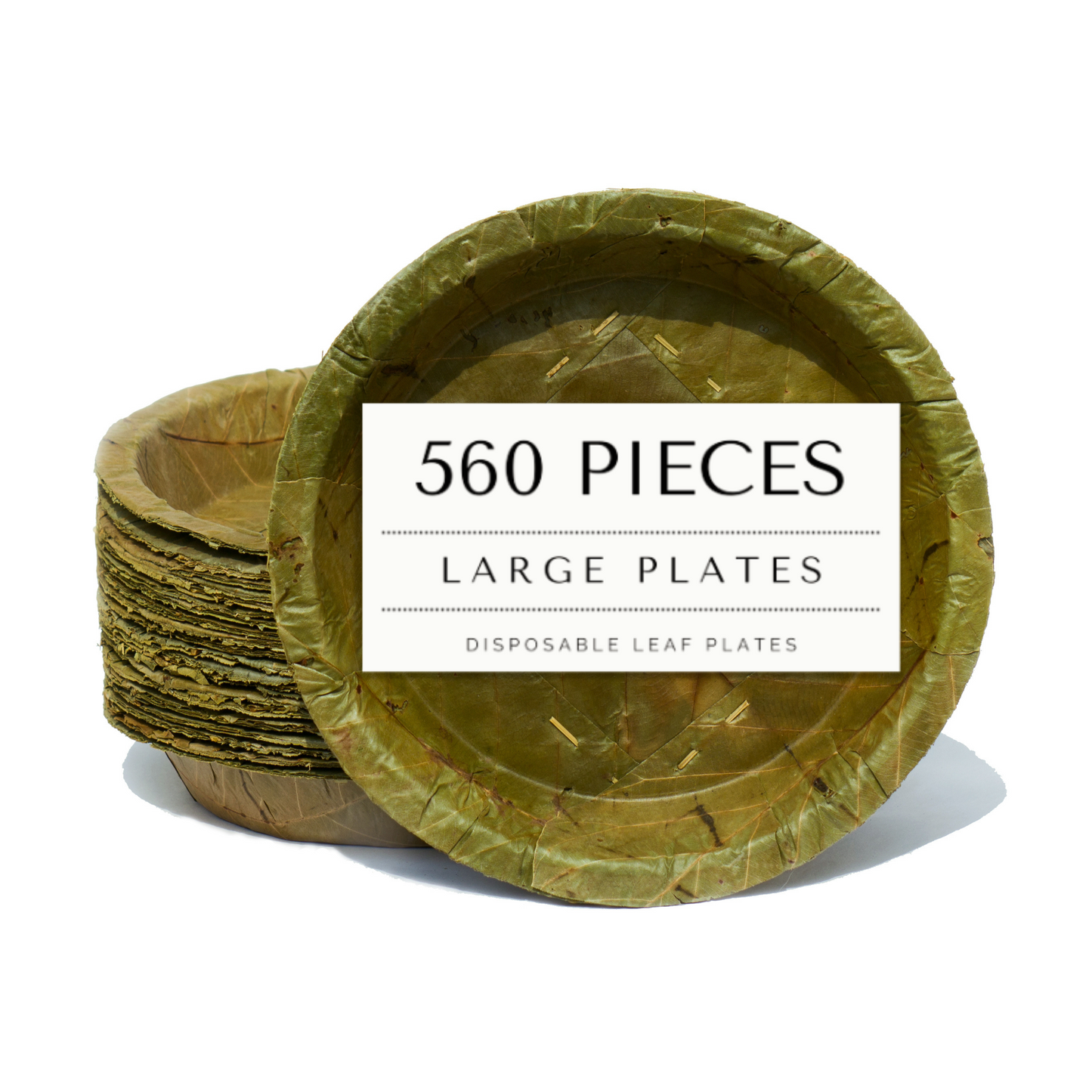 Large Sal Leaf Plates - 23cm / 9 inch diameter