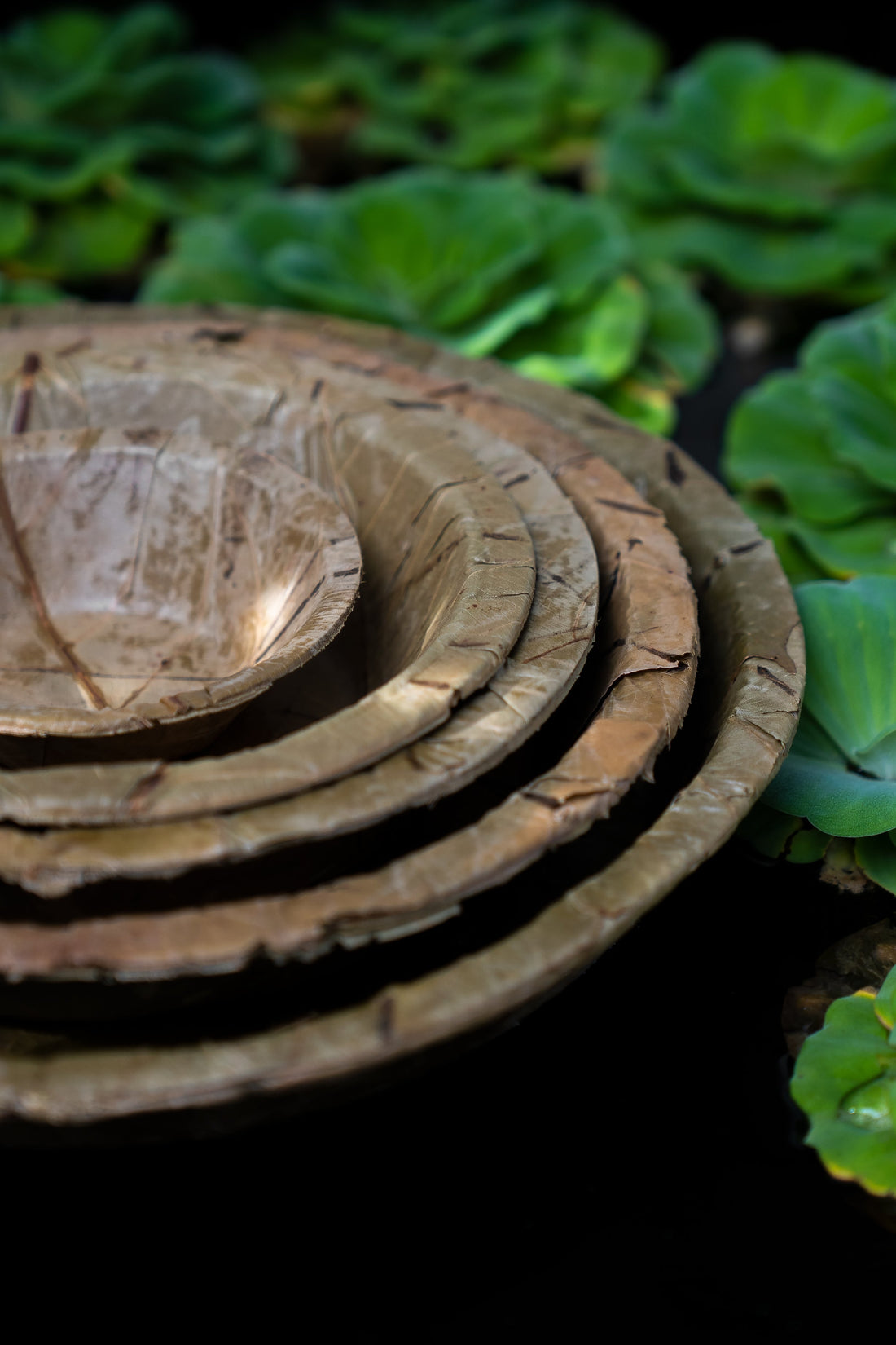 HOW ARE LEAF DISHES MADE?