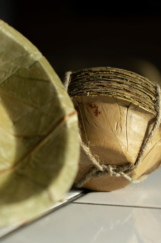 EU Packaging Law Updates